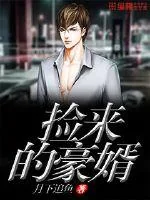 《捡来的豪婿》小说封面