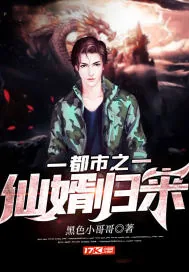 《都市之仙婿归来》小说封面