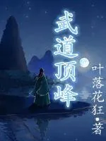 《武道顶峰》封面