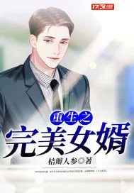 《重生之完美女婿》封面