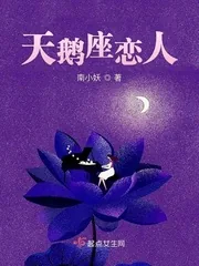 《天鹅座恋人》封面
