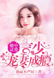 《婚中试爱：言少宠妻成瘾》封面