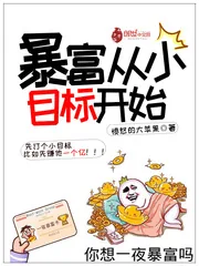 《暴富从小目标开始》封面
