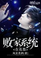 《败家系统在花都》封面