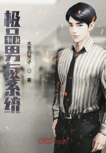 《极品男友系统》封面