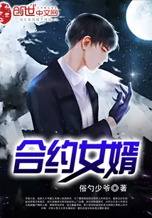 《合约女婿》封面
