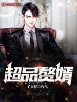 《超品赘婿》封面