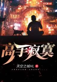 《高手寂寞》封面