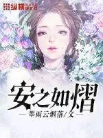 《安之如熠》封面