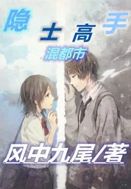 《隐士高手混都市》封面