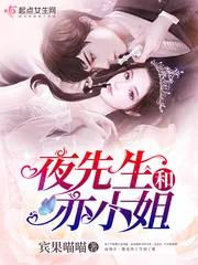 《夜先生和亦小姐》封面