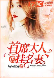 《首席大人的挂名妻》封面