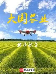 《大国农业》封面