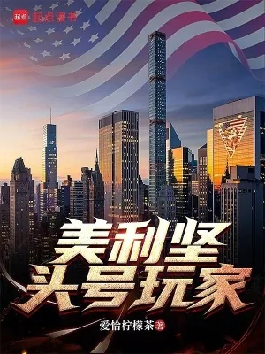 《美利坚头号玩家》小说封面