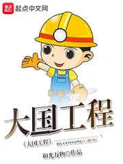 《大国工程》封面