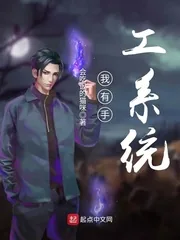 《我有手工系统》封面