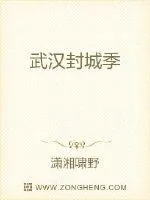 《武汉封城季》封面