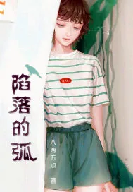 《陷落的弧》封面