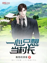 《一心只想当村长》封面