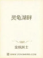 《灵龟湖畔》小说封面