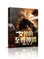 《女神的至尊神婿》封面