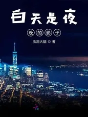 《白天是夜晚的影子》封面