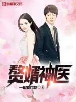 《赘婿神医》封面
