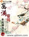 《画满田园》封面