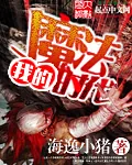 《我的魔法时代》封面