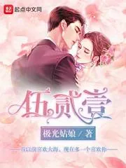 《伍贰壹》封面