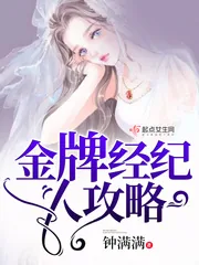 《金牌经纪人攻略》小说封面