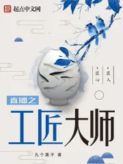 《直播之工匠大师》封面