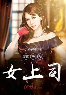 《超极品女上司》封面