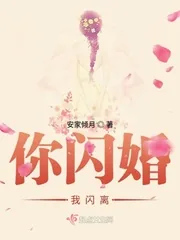 《你闪婚我闪离》封面