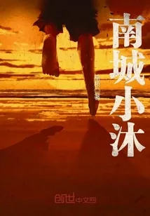 《南城小沐》封面