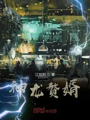 《神龙赘婿》小说封面