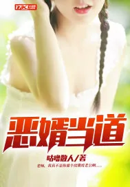 《恶婿当道》封面