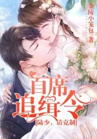 《首席追缉令：陆少，请克制》封面