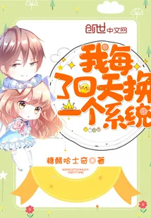 《我每30天换一个系统》封面