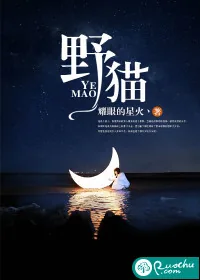 《野猫》封面