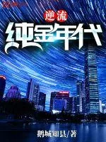 《逆流纯金年代》小说封面