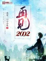 《再见2002》封面