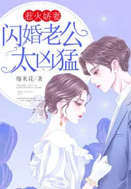 《惹火娇妻：闪婚老公太凶猛》封面
