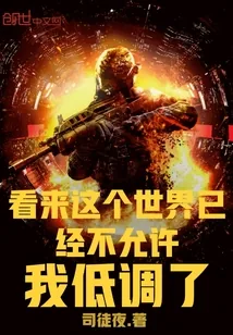 《看来这个世界已经不允许我低调了》封面