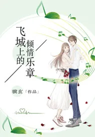 《飞城上的倾情乐章》封面