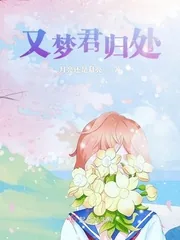 《又梦君归处》封面