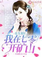 《重生很忙:我在七零开矿山》小说封面