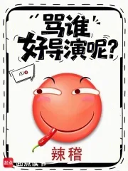 《骂谁好导演呢？》封面