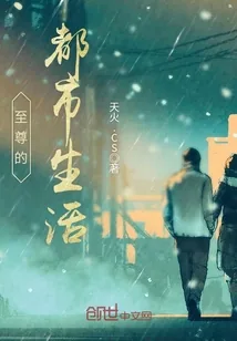 《至尊的都市生活》封面