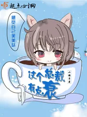《这个总裁有点二》封面
